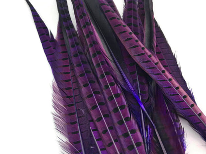 50 pieces - 18-22" Natural Purple Dyed Over Accent Feathers for Wedding Backdrops & Arches