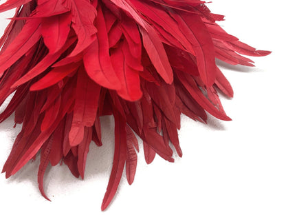8-10" Natural Inch Strip Red Accent Feathers for Wedding Centerpieces