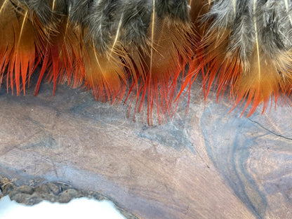 1 yard - Natural Red Golden Plumage Accent Feathers for Wedding Backdrops & Arches