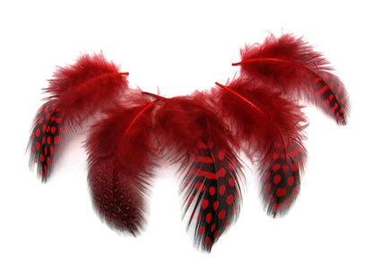A quarter pound - Plum Red Hen Plumage Accent Feathers for Wedding Backdrops & Arches