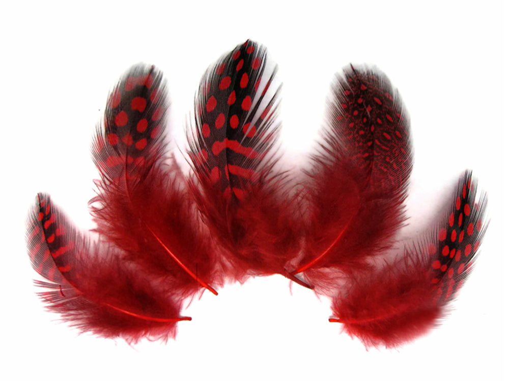 10 oz - Plum Pack Red Hen Accent Feathers for Wedding Centerpieces