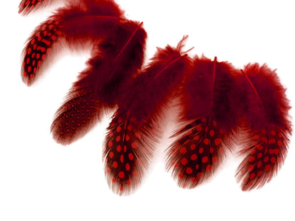 10 oz - Plum Pack Red Hen Accent Feathers for Wedding Centerpieces