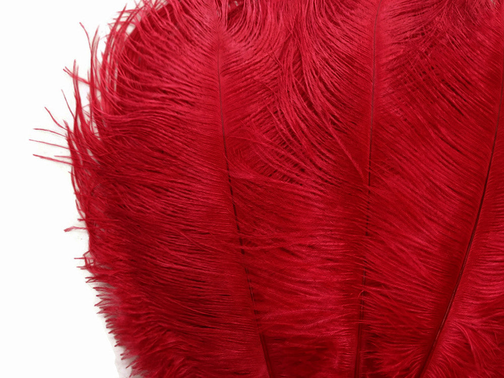 1/2 Lb. - 9-13" Red Dyed Ostrich Body Drab Wholesale Feathers (Bulk)