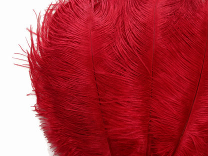 1/2 Lb. - 9-13" Red Dyed Ostrich Body Drab Wholesale Feathers (Bulk)