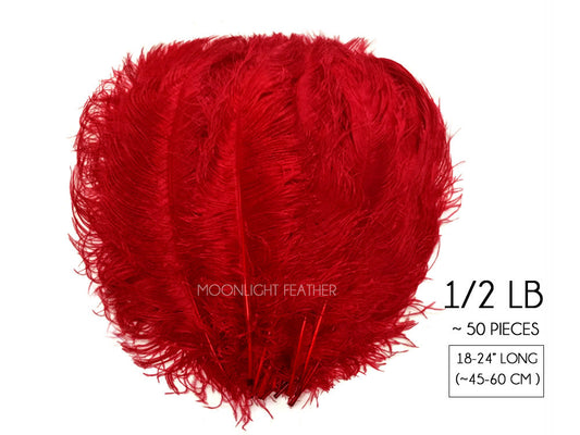 1/2 Lb. - 18-24" Red Large Ostrich Wing Plume Wholesale Feathers (Bulk)