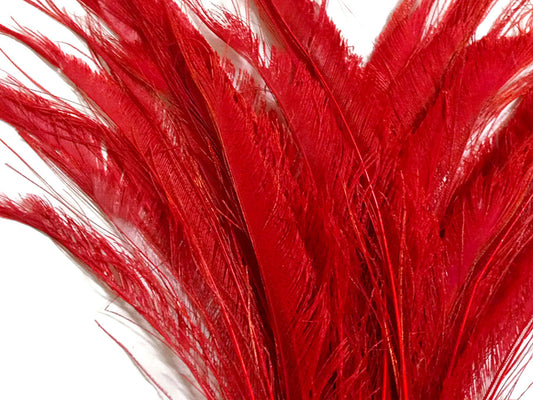 5 pieces - 10-12" Red Bleached Dyed Swords Peacock Feathers for Wedding Centerpieces