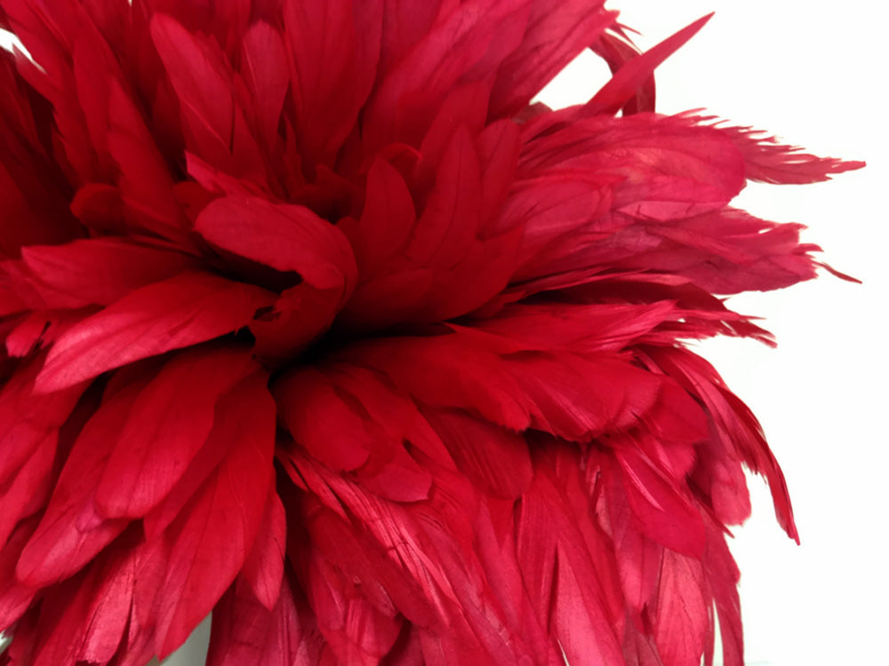 2 yards - 8-10" Natural Red Strung Bleach Accent Feathers for Wedding Backdrops & Arches
