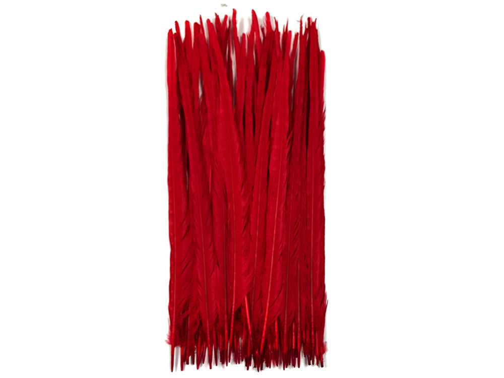 10 pieces - 18-22" Red Bleached Dyed Ringneck Accent Feathers for Wedding Centerpieces