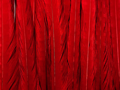 10 pieces - 18-22" Red Bleached Dyed Ringneck Accent Feathers for Wedding Centerpieces