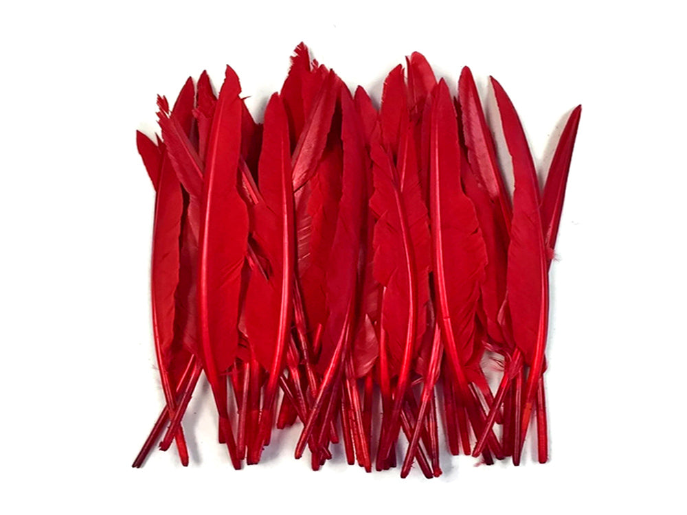 A quarter pound - Red Pointer Primary Wing Accent Feathers for Wedding Backdrops & Arches