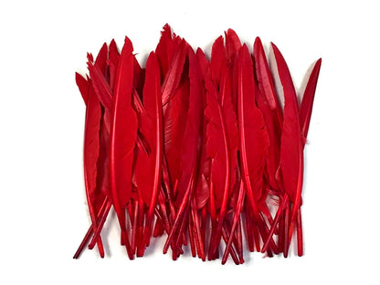 A quarter pound - Red Pointer Primary Wing Accent Feathers for Wedding Backdrops & Arches