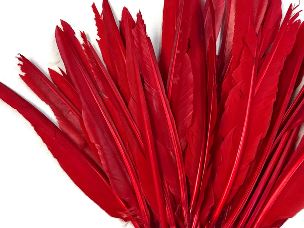 A quarter pound - Red Pointer Primary Wing Accent Feathers for Wedding Backdrops & Arches