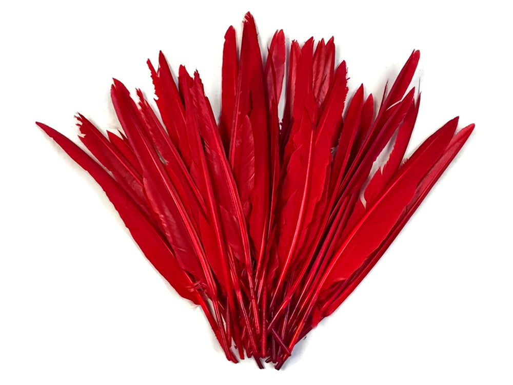 50 oz - Red Pack Primary Wing Accent Feathers for Wedding Centerpieces