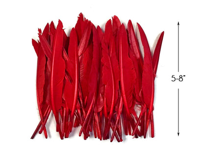 A quarter pound - Red Pointer Primary Wing Accent Feathers for Wedding Backdrops & Arches