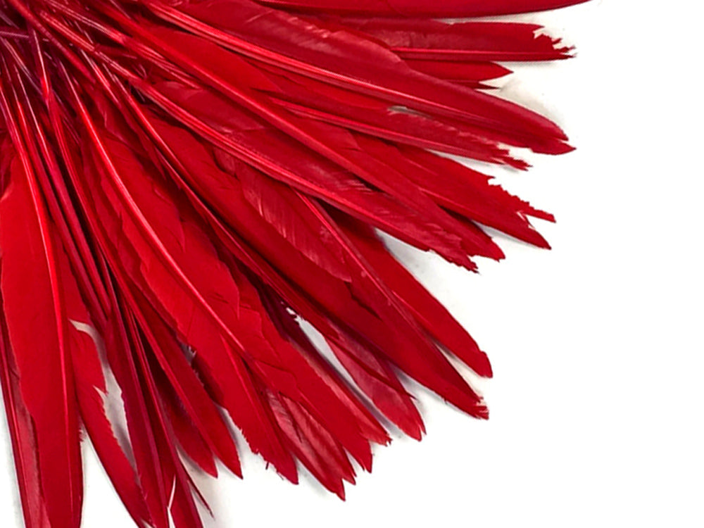 A quarter pound - Red Pointer Primary Wing Accent Feathers for Wedding Backdrops & Arches