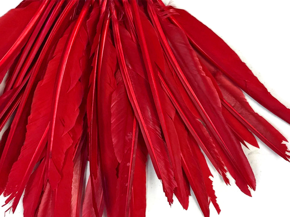 A quarter pound - Red Pointer Primary Wing Accent Feathers for Wedding Backdrops & Arches
