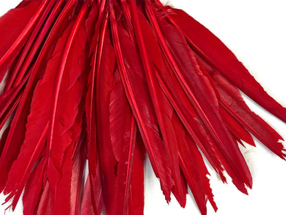 50 oz - Red Pack Primary Wing Accent Feathers for Wedding Centerpieces