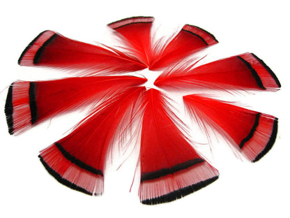 1 dozen - Gold Red Dyed Golden Accent Feathers for Wedding Centerpieces