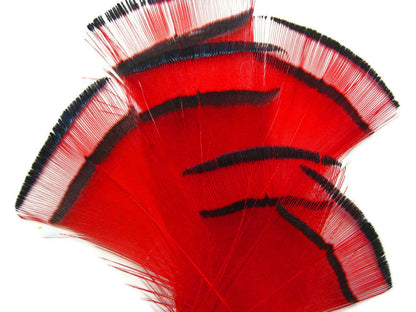 1 dozen - Gold Red Dyed Golden Accent Feathers for Wedding Centerpieces