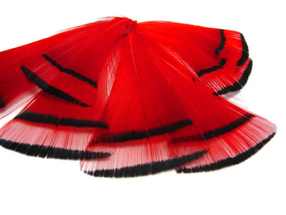 1 dozen - Gold Red Dyed Golden Accent Feathers for Wedding Centerpieces