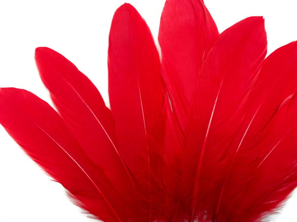 3 oz - Red Pack Satinettes Pallet Accent Feathers for Wedding Bouquets & Boutonnieres