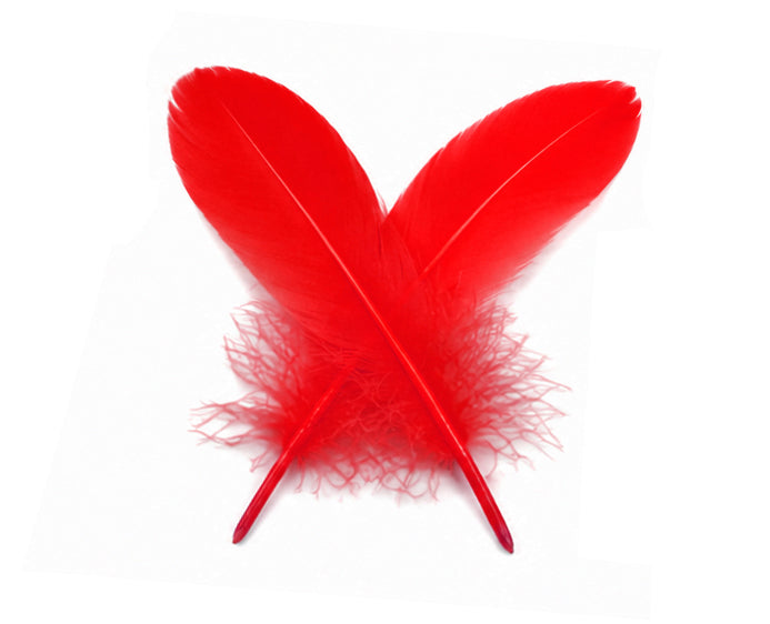 A quarter pound - Red Satinettes Pallet Soft Accent Feathers for Wedding Backdrops & Arches
