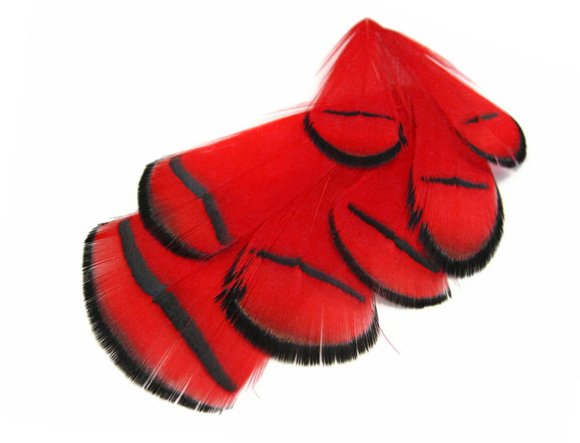 1 dozen - Red Dyed Lady Amherst Accent Feathers for Wedding Centerpieces