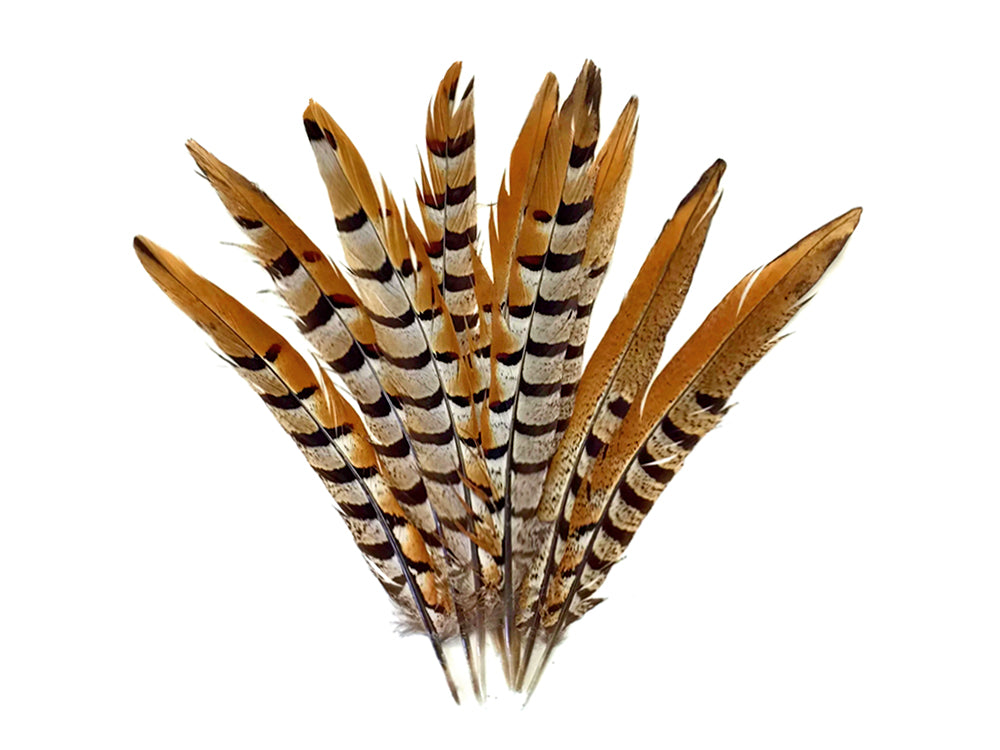 10 pieces - 10-12" Natural Reeves Venery Tail Accent Feathers for Wedding Centerpieces