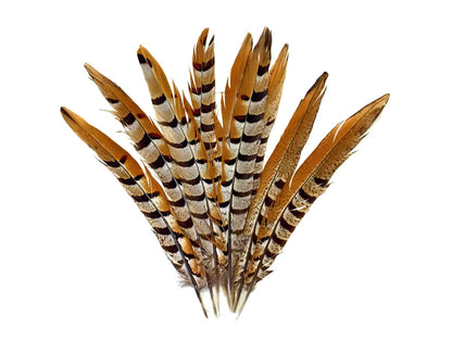 10 pieces - 10-12" Natural Reeves Venery Tail Accent Feathers for Wedding Centerpieces