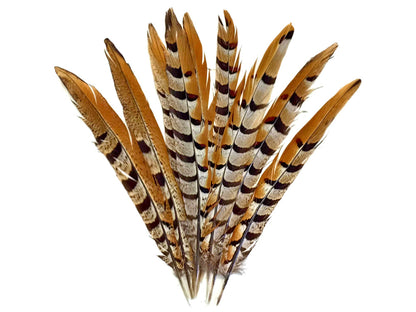 10 pieces - 35-40" Natural Brown Reeves Venery Accent Feathers for Wedding Centerpieces