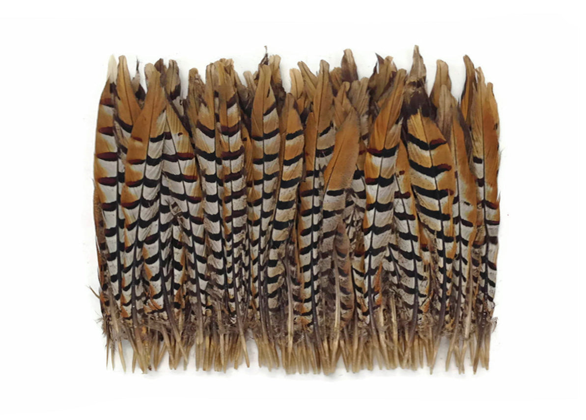 10 pieces - 10-12" Natural Reeves Venery Tail Accent Feathers for Wedding Centerpieces