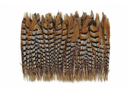 10 pieces - 10-12" Natural Reeves Venery Tail Accent Feathers for Wedding Centerpieces