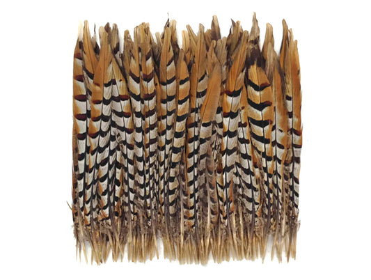 50 pieces - 14-16" Natural Reeves Venery Tail Accent Feathers for Wedding Backdrops & Arches