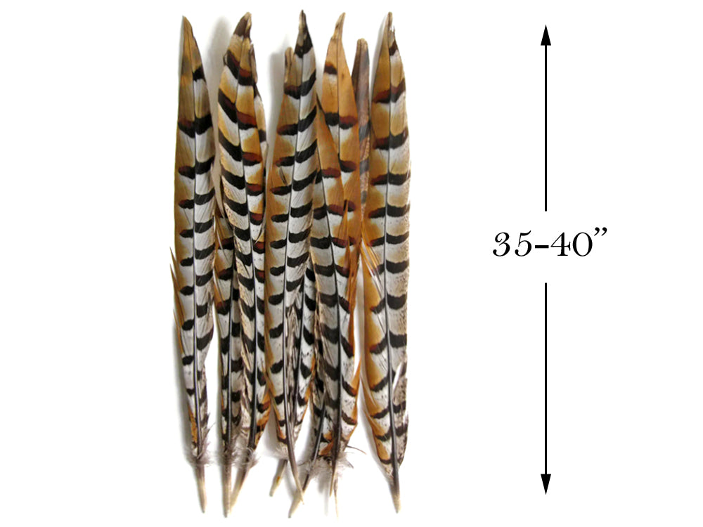 10 pieces - 35-40" Natural Brown Reeves Venery Accent Feathers for Wedding Centerpieces