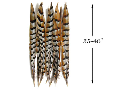 10 pieces - 35-40" Natural Brown Reeves Venery Accent Feathers for Wedding Centerpieces