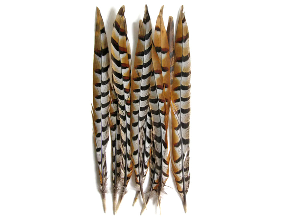 50 pieces - 16-18" Natural Reeves Venery Tail Accent Feathers for Wedding Backdrops & Arches