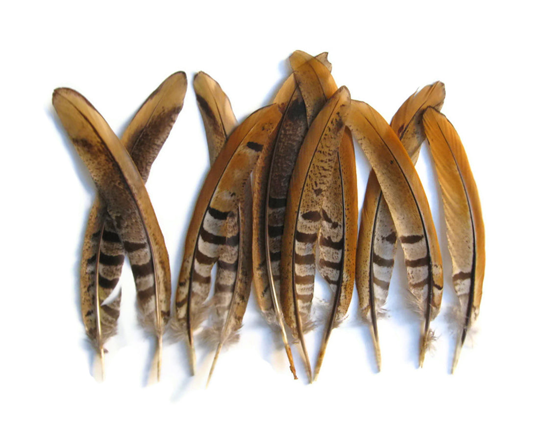 10 pieces - 8-10" Natural Reeves Venery Tail Accent Feathers for Wedding Centerpieces