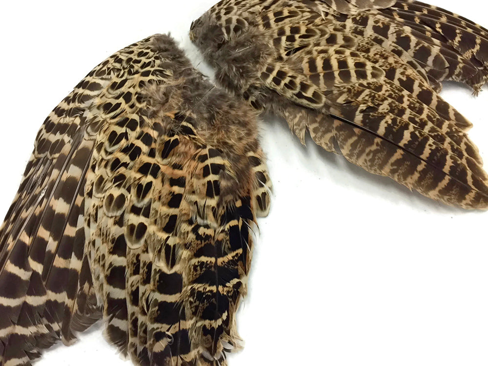 Natural Pair Ringneck Hen Accent Feathers for Wedding Centerpieces