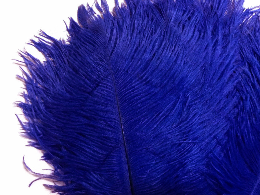 1/2 Lb. - 9-13" Royal Blue Dyed Ostrich Body Drab Wholesale Feathers (Bulk)