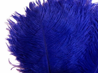 1/2 Lb. - 9-13" Royal Blue Dyed Ostrich Body Drab Wholesale Feathers (Bulk)