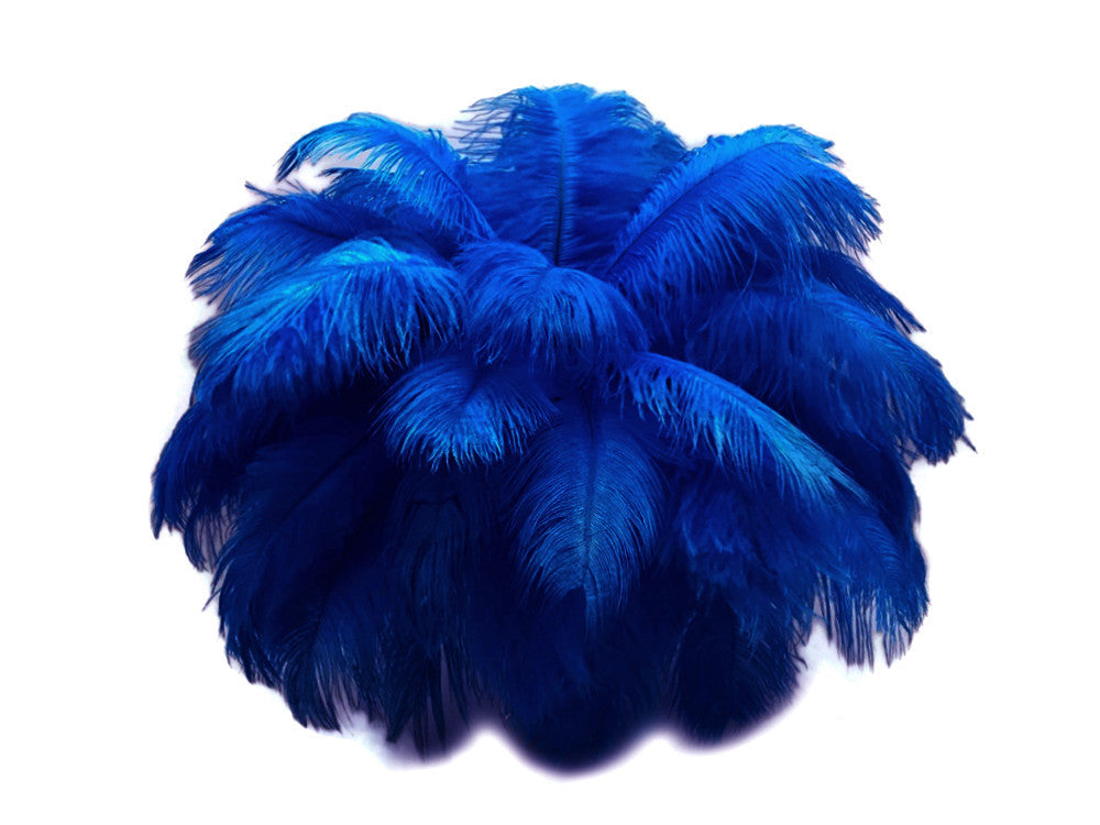 1/2 Lb. - 9-13" Royal Blue Dyed Ostrich Body Drab Wholesale Feathers (Bulk)
