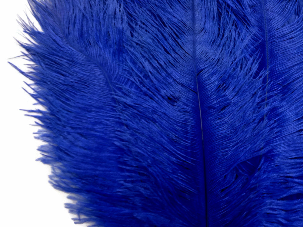 1/2 Lb. - 9-13" Royal Blue Dyed Ostrich Body Drab Wholesale Feathers (Bulk)