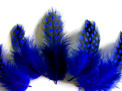 10 oz - Royal Blue Pack Hen Polka Accent Feathers for Wedding Centerpieces