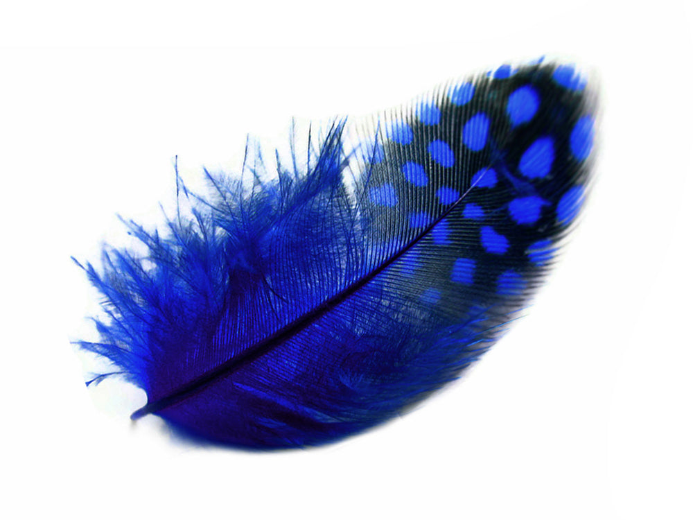 A quarter pound - Royal Blue Hen Plumage Polka Accent Feathers for Wedding Backdrops & Arches