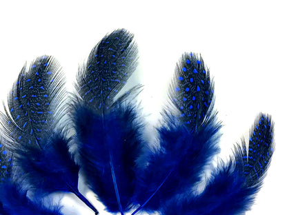 A quarter pound - Royal Blue Hen Plumage Polka Accent Feathers for Wedding Backdrops & Arches