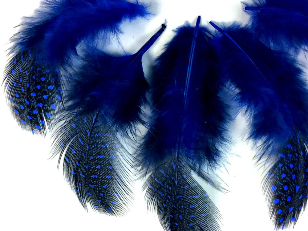 10 oz - Royal Blue Pack Hen Polka Accent Feathers for Wedding Centerpieces