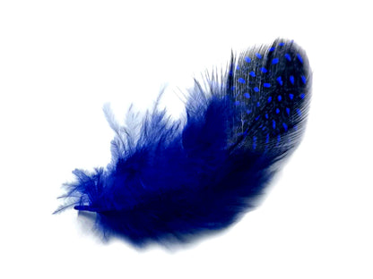 A quarter pound - Royal Blue Hen Plumage Polka Accent Feathers for Wedding Backdrops & Arches