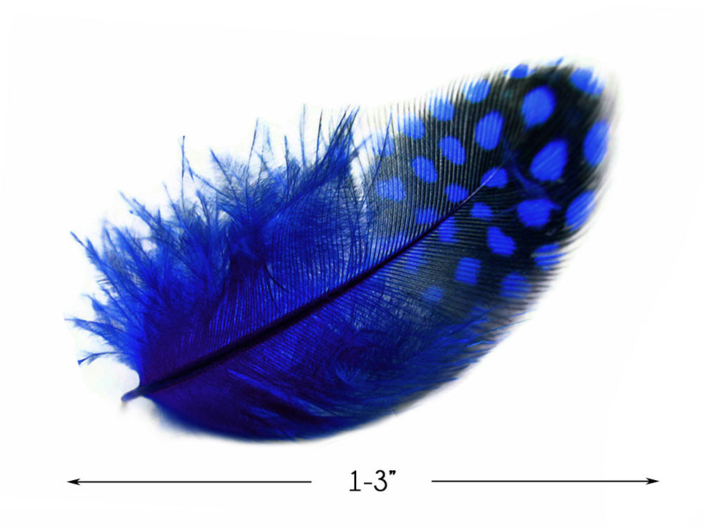 A quarter pound - Royal Blue Hen Plumage Polka Accent Feathers for Wedding Backdrops & Arches