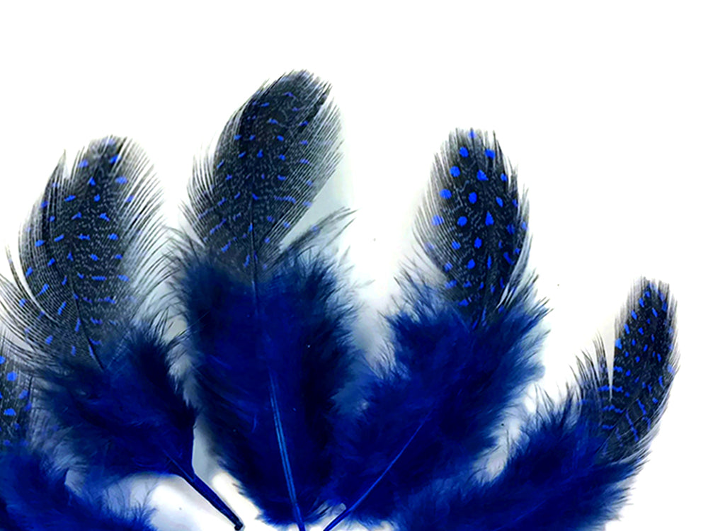 10 oz - Royal Blue Pack Hen Polka Accent Feathers for Wedding Centerpieces