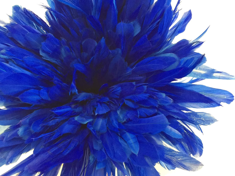 2 yards - 8-10" Royal Blue Strung Natural Bleach Accent Feathers for Wedding Backdrops & Arches
